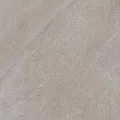 Oyster