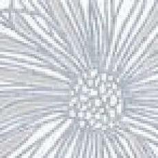 Керамическая плитка Сплендида blanco 1c 6,2x50,5