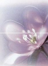 Керамическая плитка Лила 36,4x49,8