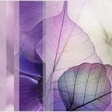 Керамическая плитка Коллаж/ kollaj 24,9x50