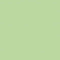 Atlas Concorde Greencolors Menta 20 Grip зеленый 