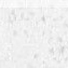 Керамогранит Импрешн Плинтус Белый r9 7,5x60