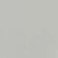 Керамическая плитка elementary dust настенная 29,8x74,8