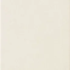Керамическая плитка zirconium Вайт настенная 22,3x44,8