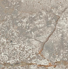 Атлас Конкорд Empire Silver Root Bottone серый 