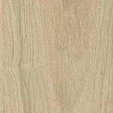 Керамогранит coliseumgres Бормио/ bormio Сэнд 610010004067 Бежевый 20x120