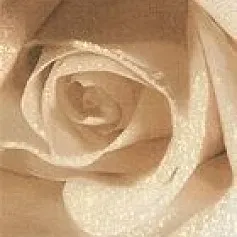 Керамическая плитка maxima Браун 2 бордюр 10x44,8