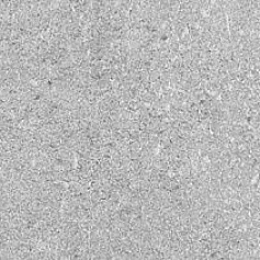 Ступени Подступенок Аллея серый светлый 9,6x30