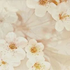 Керамическая плитка сакура коричневый декор 04 25x40