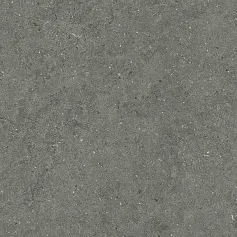 Керамогранит Италон Форум Стоун Айрон 610010004169 серый 60x120