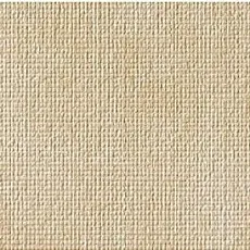 Керамическая плитка с.с. айвори микро 3д 30,5x56