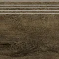 Ступени Италиан Вуд/ italian wood wenge st01 20x60