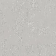 Керамогранит Про Фьюче серый светлый обрезной dd593300r 60x119,5