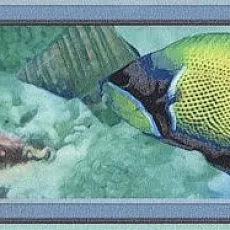 Керамическая плитка Бордюр Маронти hgd\a47\880 5,7x20