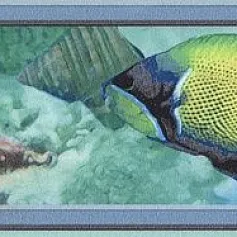 Керамическая плитка Бордюр Маронти hgd\a47\880 5,7x20