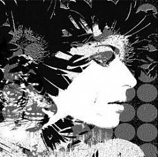 Керамическая плитка Дива 49,8x50