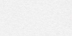 Керамогранит delacora Абсолют Айс d12038m белый 60x120