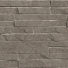 Керамическая плитка Альма Керамика Дискавер/ discover twu2550dcv24 коричневый 24.9x50