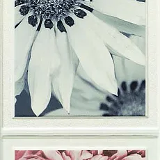 Керамическая плитка joy Вейв szara str. 2 декор 22,3x44,8