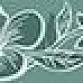 Керамическая плитка Элисса mare fiore 1c 6,2x50,5