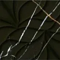 Керамическая плитка Блэк энд Голд struttura 24,2x70