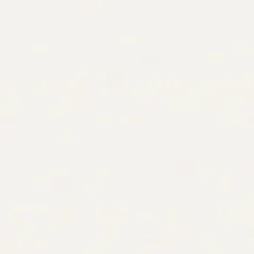 Керамогранит Бьянконеро белый 60x60