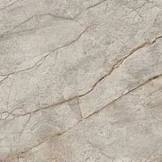 Керамогранит Эмпайр/ empire silver root rett lapp 60x120