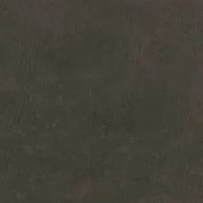 Керамогранит Про Фьюче коричневый обрезной dd202800r 30x60