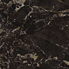 Атлас Конкорд Victory Dark Bot. Lap коричневый 