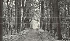 Керамическая плитка all in white set of 42 elements панно 209,8x359,8