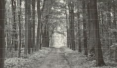 Tubadzin All in white set of 42 elements панно серый для ванной