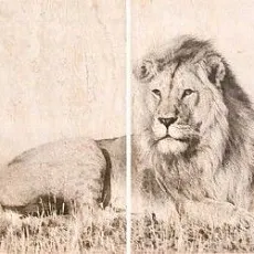 Керамическая плитка селлинг панно 02 30x40