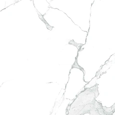 Керамогранит Аркадия Керамика gi8005-a Парадайс Статуарио Матт glossy ink белый 60x120