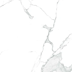 Керамогранит Аркадия Керамика gi8005-a Парадайс Статуарио Матт glossy ink белый 60x120