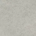 Керамогранит Италон Форум/ forum Стоун Сильвер 610010004150 Серый 80x80