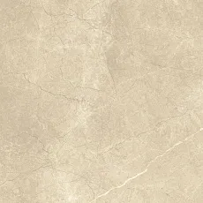 Керамогранит ШАР.ЭКС.АРКАДИА 60x120 РЕТ 60x120