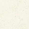Corail Blanc