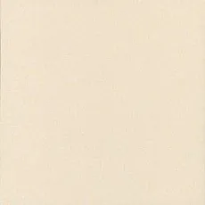 Керамогранит техногрес кс-5 60x60