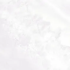 Керамическая плитка Плитка altacera Пальмира/ palmira light wt9pal00 Белый 24.9x50