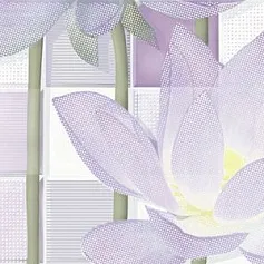 Керамическая плитка lotus 2 24,9x50