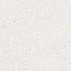 Керамогранит Бьянко 50x100