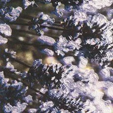 Керамическая плитка maxima violet 2 бордюр 10x44,8