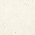 Corail Blanc