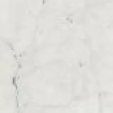 Керамогранит ШАР.ЭКС.КАРРАРА АЛЬЦАТА ПАТ.А.Е. 2x15