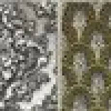 Керамическая плитка Диана Гриджио 1c 6,2x50,5