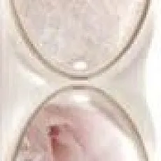 Керамическая плитка cenefa alobras 7,5x50