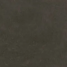 Керамогранит Про Фьюче коричневый обрезной dd592800r 60x119,5