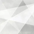 Керамическая плитка Шейп/ shape geometry Вайт 24,9x50