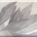 Керамогранит Декор Тортона 7,4x15