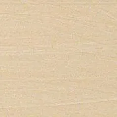 Керамическая плитка дизайер шампань 20x50